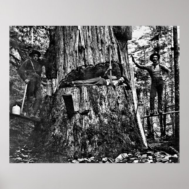 Poster CONNEXION CANADA c. 1890 (Devant)