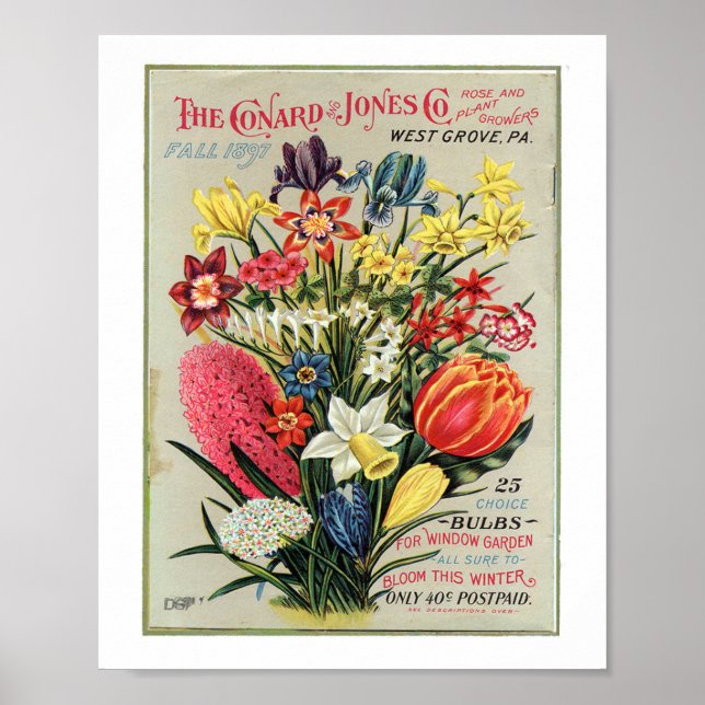 Poster Conrad & Jones 1897 Producteurs Roses et Plantes (Devant)