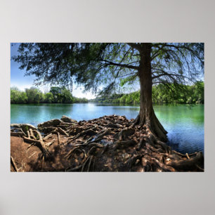 Poster Conseil de RedBud Isle sur LadyBird Lake - Austin