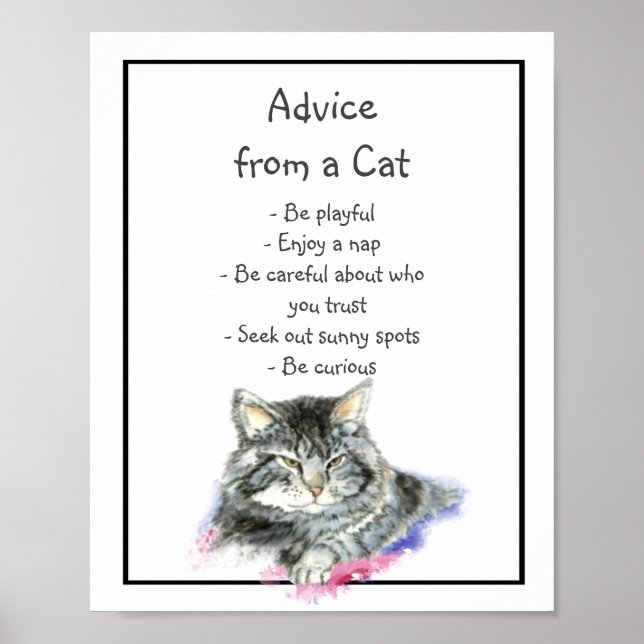 Poster Conseil d'un Humour animal amusant de chats (Devant)
