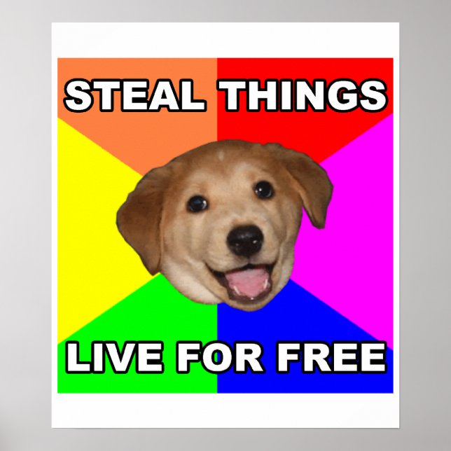 Poster Conseils Chien Voler des choses, Vivre gratuitemen (Devant)