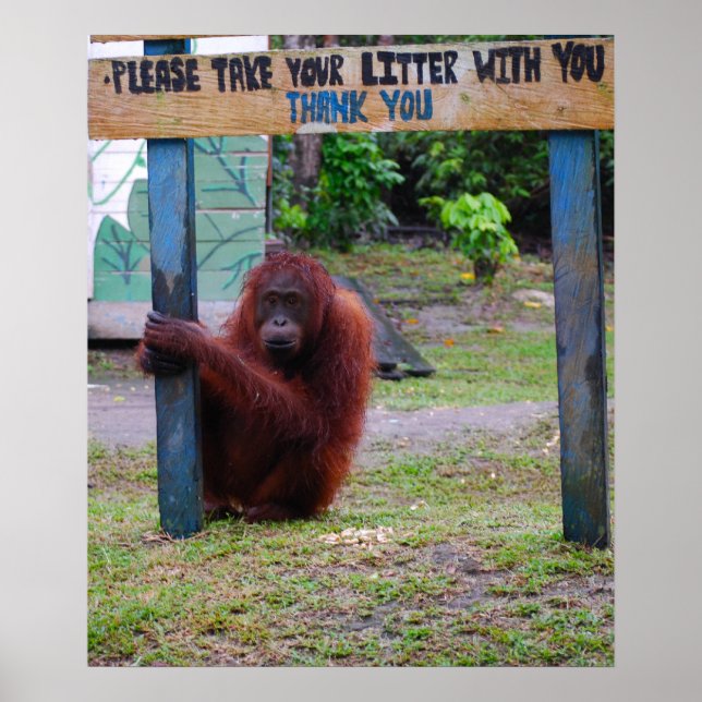 Poster Conservation de la faune v Litter and Trash (Devant)