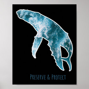 Poster Conservation de la nature Baleine Protection De l'