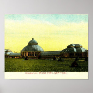 Poster Conservatoire, Bronx Park, New York Vintage