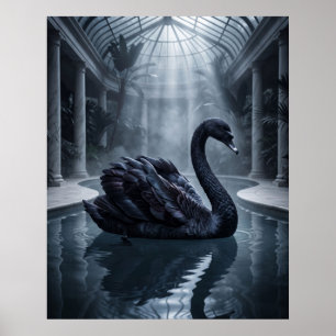 Poster Conservatoire Velvet Swan