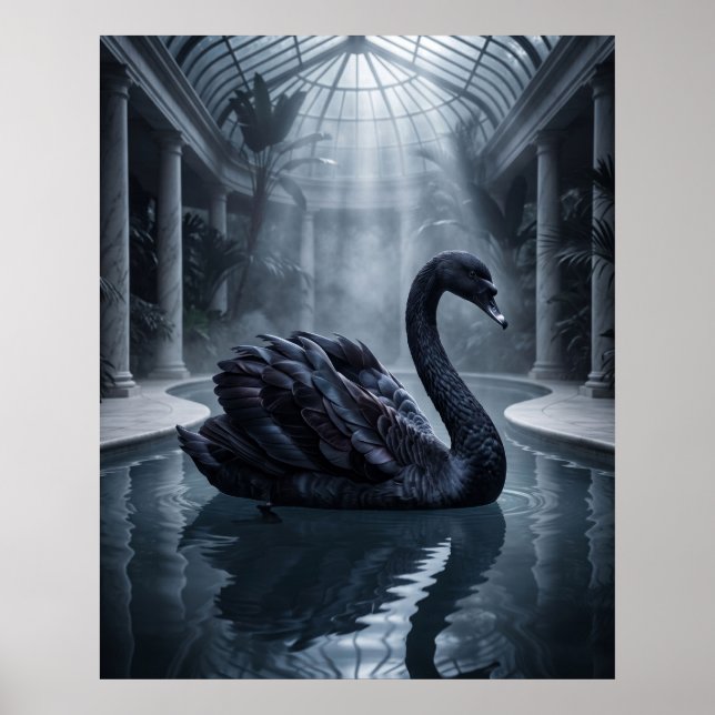 Poster Conservatoire Velvet Swan (Devant)