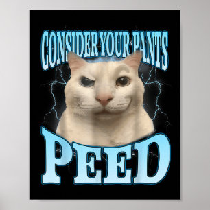 Poster Considérez Votre Pantalon a Pissé Drôle Freak Cat 