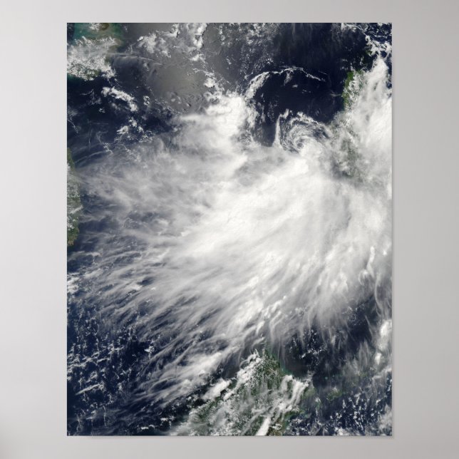 Poster Conson de tempête tropicale (Devant)