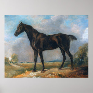 Poster Constable - La monture noire de Golding