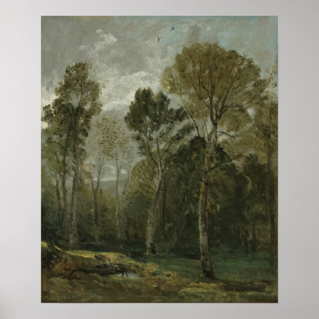 Poster Constable - Vue d'un taillis (Devant)