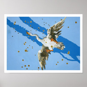 Poster Constellation de Cygnus, de writte de