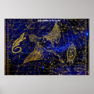 Poster Constellation du Lézard