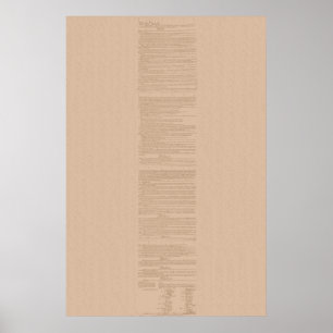 Poster Constitution des États-Unis