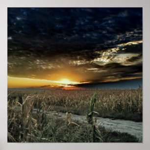 Poster Contact de la poussière magique de l'once