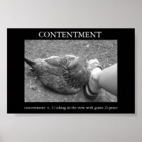 Contentement