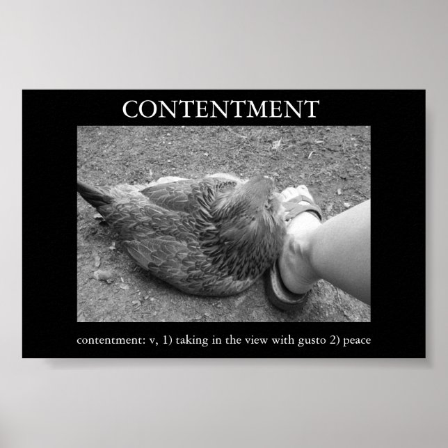 Poster Contentement (Devant)