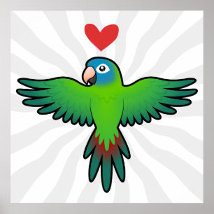 Poster Conure / Lorikeet / Amour de perroquet
