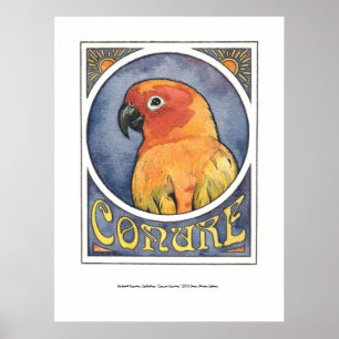 Poster Conure Nouveau
