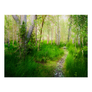 Poster Convict Lake Aspen Meadow Œuvre d'Art Impression d