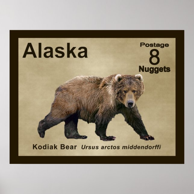 Poster Cook bear (Devant)