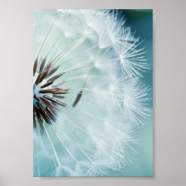 Poster - Cool Blue (Front)