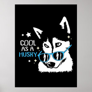 Poster Cool Comme Chien Husky