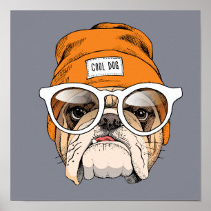 Poster Cool Hipster Bulldog
