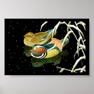 Poster Cool mandarina canard japonais noir étang neige