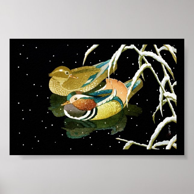 Poster Cool mandarina canard japonais noir étang neige (Devant)