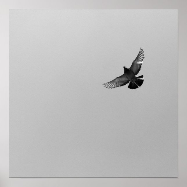 Poster Cool Moderne B&W volant oiseau simple design moder (Devant)