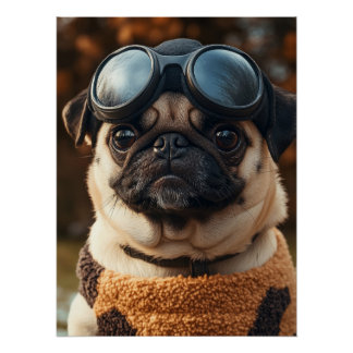 Poster Cool Pug Dog with Aviator Goggles & Cozy Sweater