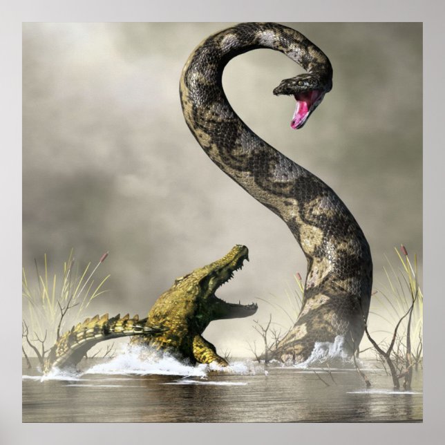 Poster Cool Titanoboa (Devant)