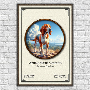 Poster Coonhound américain Série de zoologie