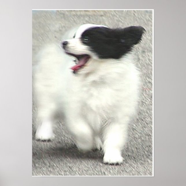 POSTER COOPER (Devant)