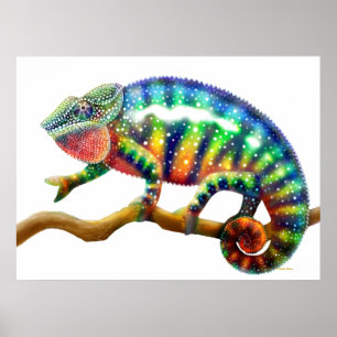Poster Copie colorée de caméléon de panthère
