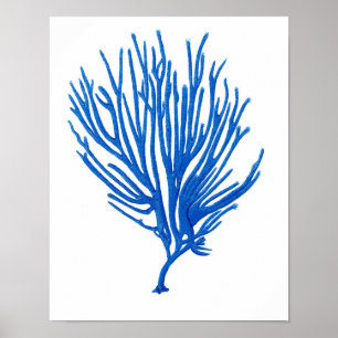 Poster Copie côtière de corail d'art de mur de