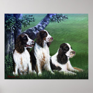 Poster Copie d'affiche de chien d'épagneul de springer