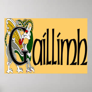 Poster Copie d'affiche de Galway (gaélique)