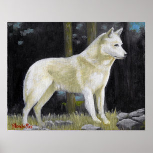Poster Copie d'affiche de portrait de chien de Canaan