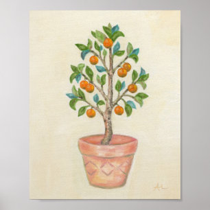Poster Copie d'art d'arbre de mandarine