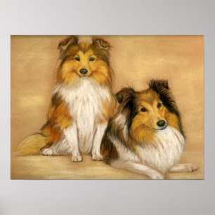 Poster Copie d'art de chien de "deux chiens de berger de
