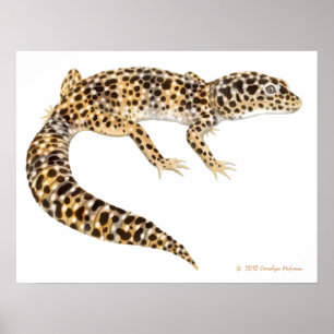 Poster Copie d'art de Gecko de léopard