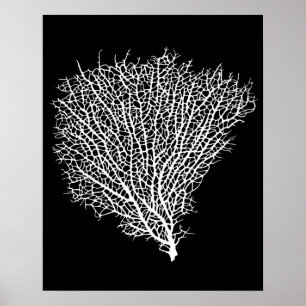 Poster copie d'art de la fan de corail blanche