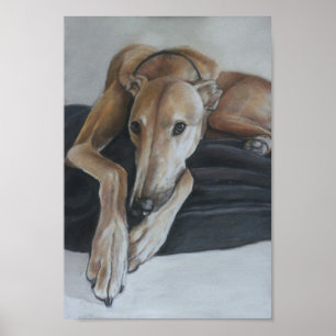Poster Copie d'art de lévrier