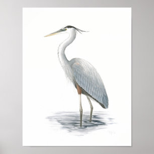 Poster Copie de beaux-arts de héron de grand bleu
