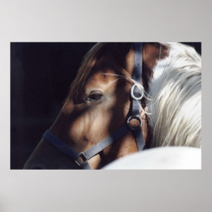 Poster Copie de Dallas