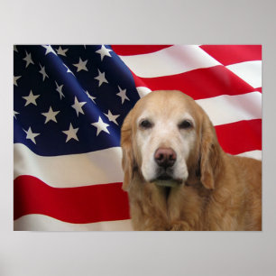 Poster Copie de drapeau américain de golden retriever