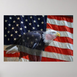 Poster Copie de drapeau d'Eagle d'Américain