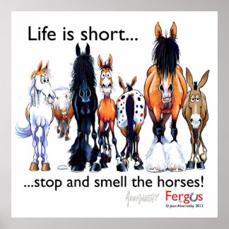 Poster Copie de Fergus le cheval La vie est courte et