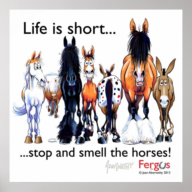 Poster Copie de Fergus le cheval La vie est courte et (Devant)